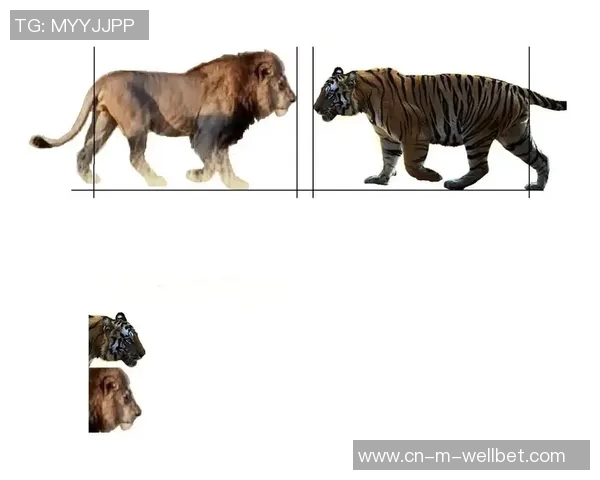 美洲虎与狮子谁更强大揭秘两大猛兽的生存之道与猎杀技巧
